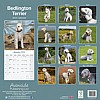 Bedlington Terrier Calendar